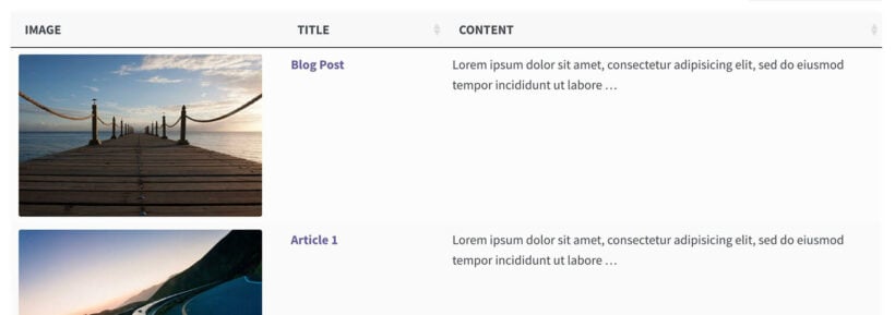 Posts Table Pro image size