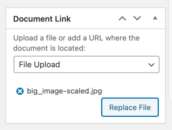 Replace document file URL