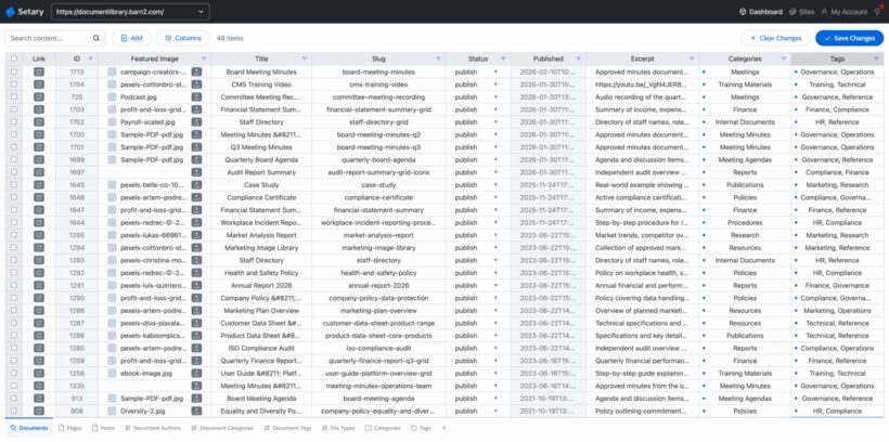 Document library data shown as a spreadsheet in Setary, with the category and tag columns being edited