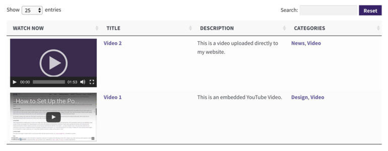 The Best WordPress Video Gallery Plugin (And How to Use It)