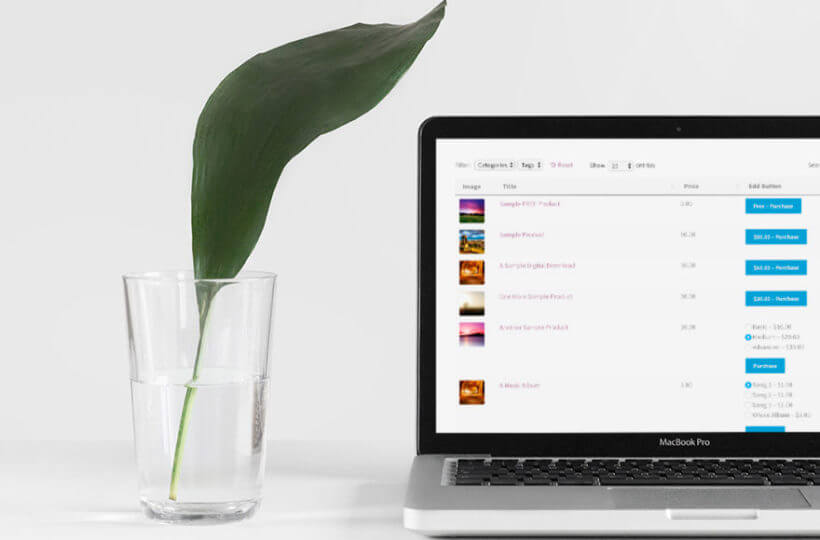 An Easy Digital Downloads store shown on a laptop, an ecommerce business example