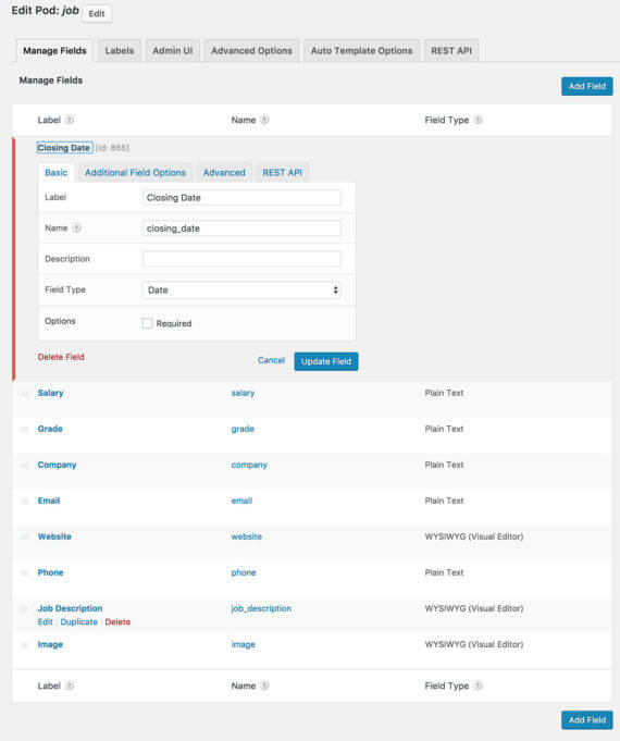 WordPress job board custom fields