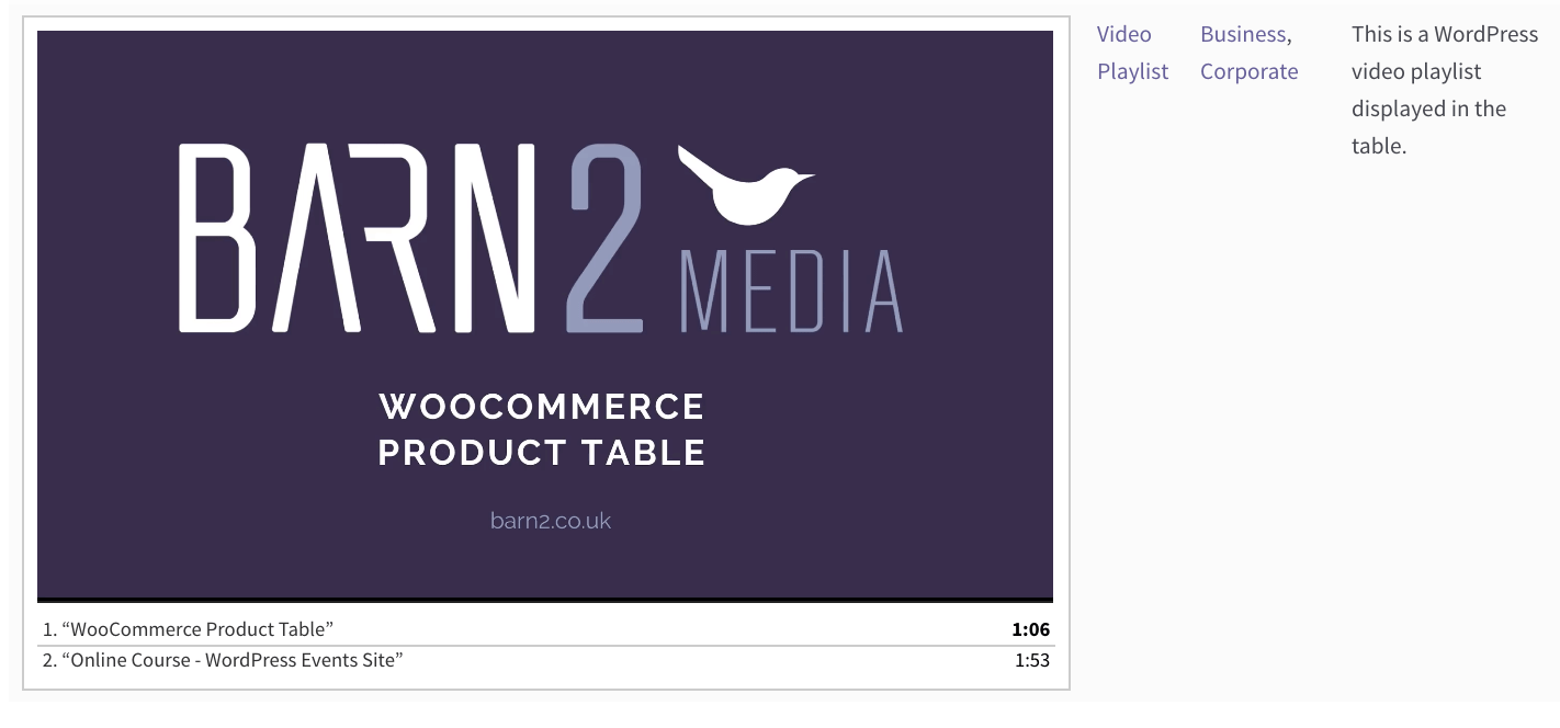 The Best WordPress Video Gallery Plugin (And How to Use It)
