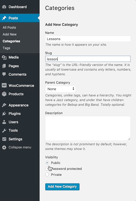 Ochrana heslem Kategorie WordPress.