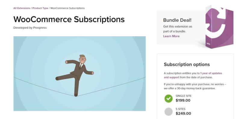 The WooCommerce Subscriptions extension.