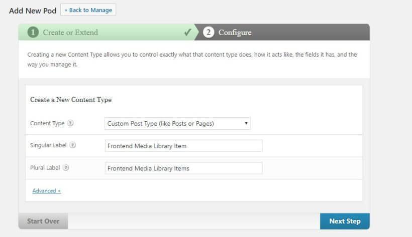 custom post type name