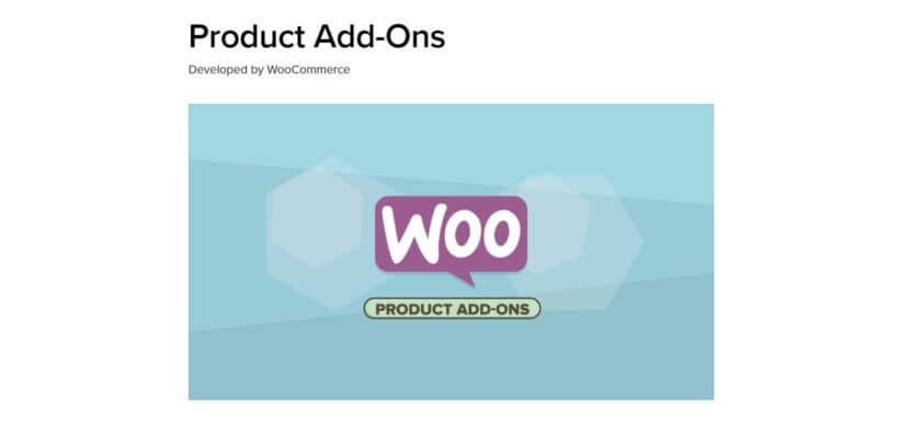 The WooCommerce Product Add-Ons extension.