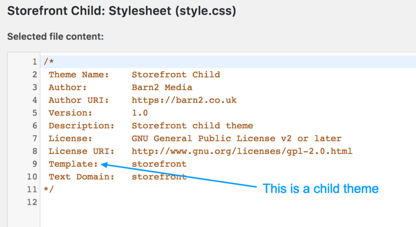How to add custom CSS to your site