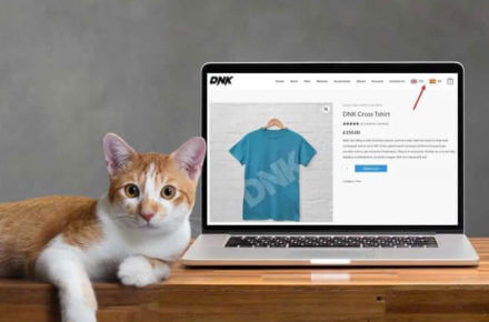 WeGlot WordPress Translation Plugin