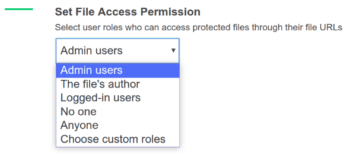 File access permission