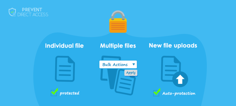 Protect WordPress files