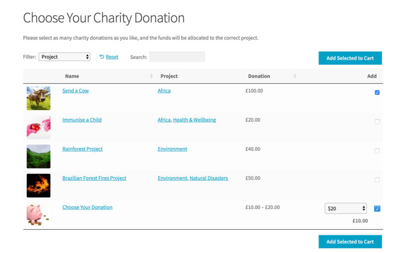 WooCommerce charity donation plugin