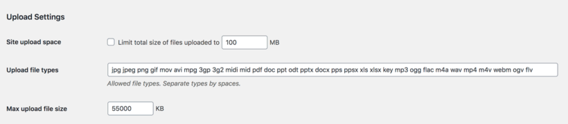 WordPress multisite file type size