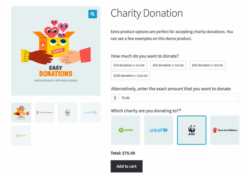 WooCommerce charity donation choose amount