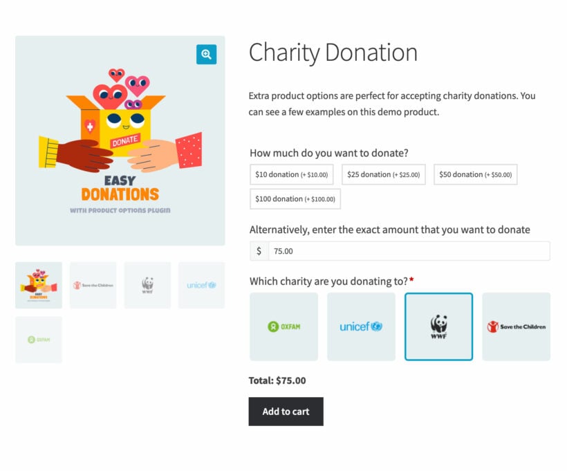 WooCommerce charity donation plugin with choose your price option