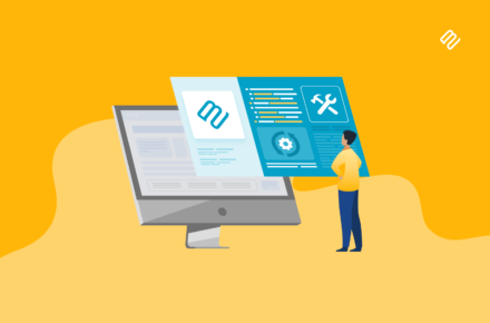 When to seek expert help for plugin customization