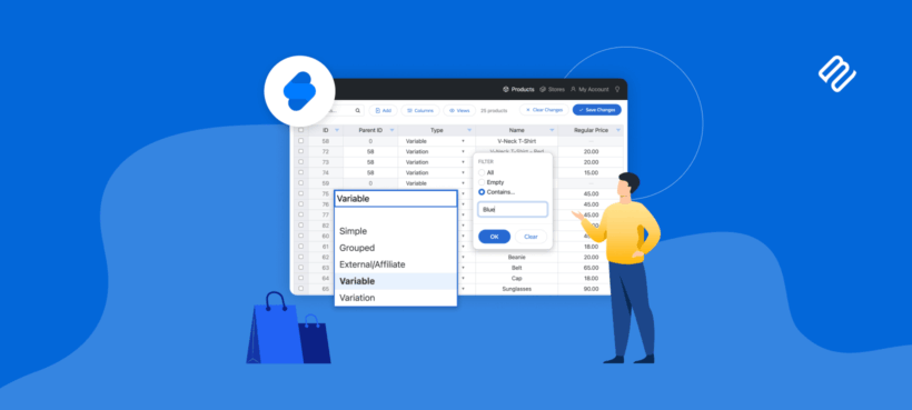 Bringing spreadsheet bulk editing to Shopify With Setary