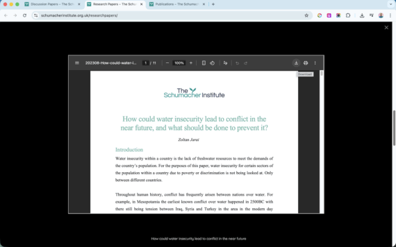 Document library preview window