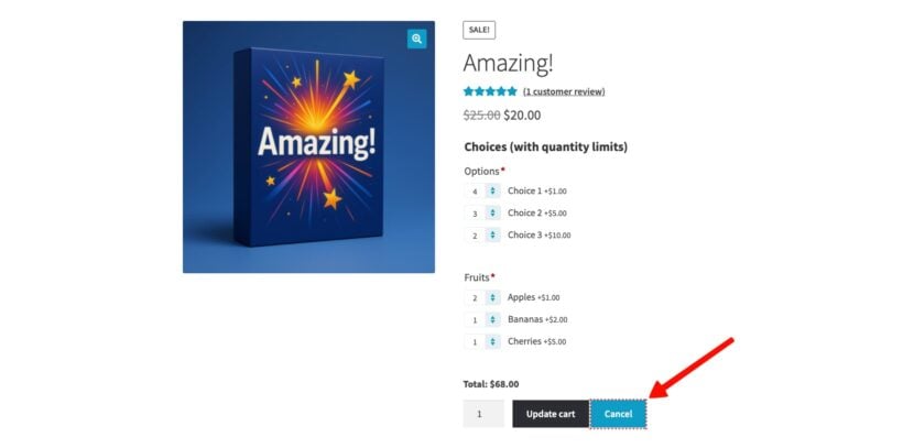 WooCommerce Product Options product page in edit mode with Update cart and Cancel buttons