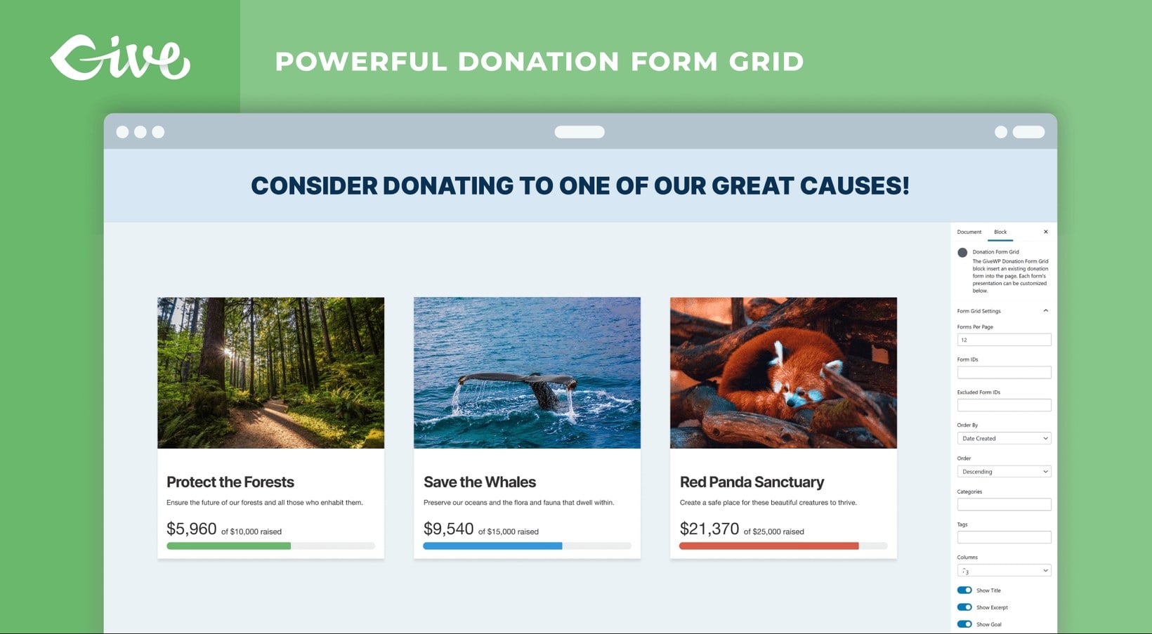 GiveWP donation form grid showing fundraising campaigns on a WordPress site