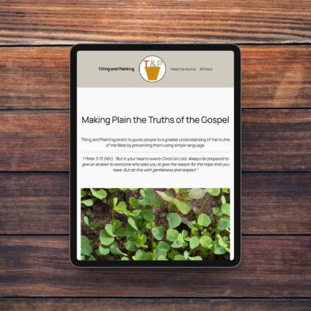 WordPress blog archive page case study homepage for Tilling and Planting