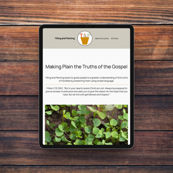 WordPress blog archive page case study homepage for Tilling and Planting