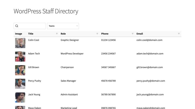 Staff directory table includes photo, role, phone, and email columns for contact details